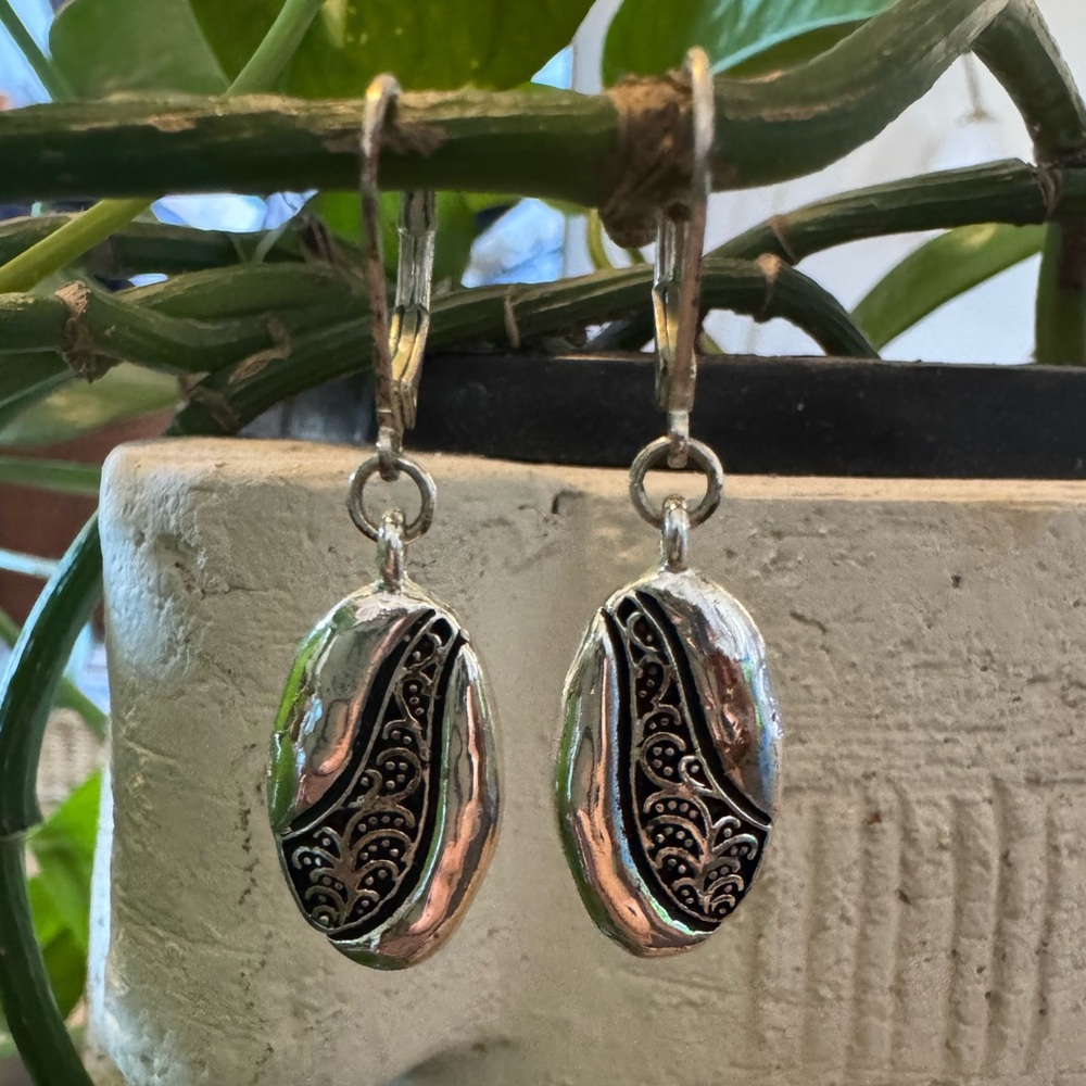 Elegant Silver and Black Earrings